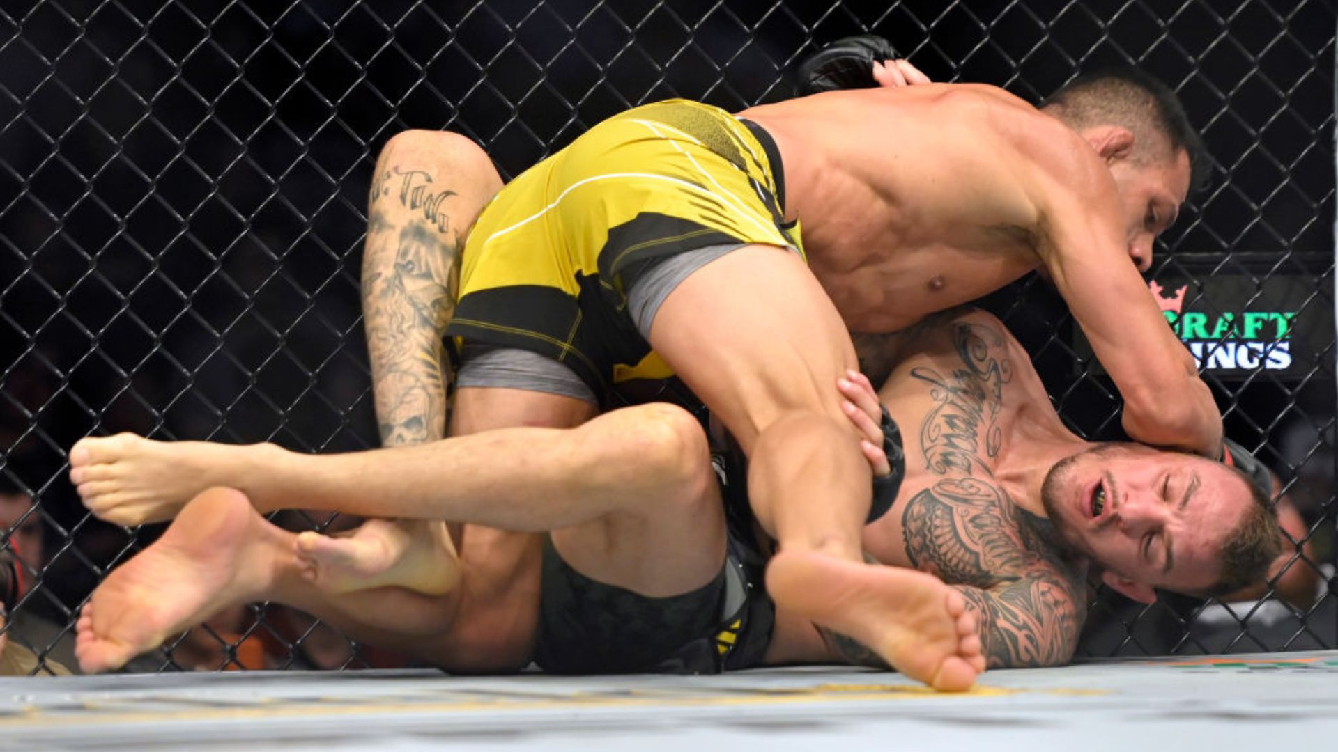 UFC tem polêmica deixada de lado por brasileiro